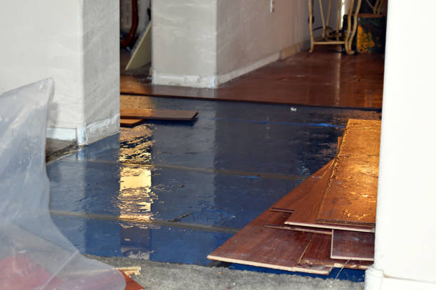 Professional Basement Flood Cleanup technician working in Delton, MI